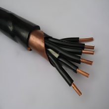 DJYP2VP2-500V-5×2×1.0计算机电缆