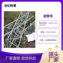 不锈钢避雷塔 角钢圆钢j结构 维修通信塔质量好