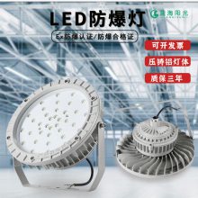 青岛生产加工安装大功***亮LED防爆灯加油站仓库厂房工业粮仓户外防水防腐投光灯的厂家企业
