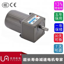 热卖40W、60W、90W、120W小齿轮减速马达，调速电磁刹车