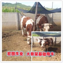 İٽ ţ Ǯ