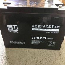 科华精卫蓄电池6-GFM-24-YT参数用途多个仓库发货