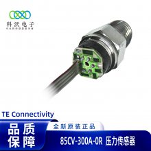 85CV-300A-0Rѹ ڹ̿  ̩TE