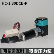 HC 1.30DCB-P尿素喷雾压力泵 微型直流水泵24v 微型自动自吸泵