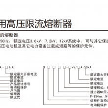 WKNHO-7.2KV/315A 綯øѹ۶