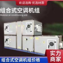 直彭式新风净化车间 恒温恒湿空气处理 组合式空调机组 洁净风冷热泵型机组