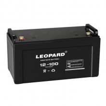 LEOPARDHTS12-65ޱʽǦ12V65AHӦԴ