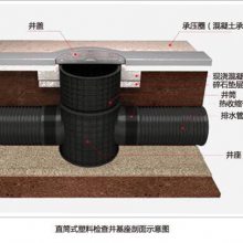 ˮ龮豸ϼ龮豸