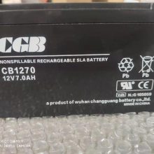 CGBCP12170 12V-17AH۲
