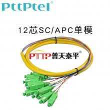 PTTP普天泰平 12芯SC单模束状尾纤12色SC/APC集成光纤活动连接器