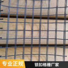 养鸡圈地养殖网双向塑料网 筋加固用钢塑土工格栅