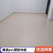 厂家直销pvc地胶 学校幼教医院零甲醛 耐磨防滑塑胶地板 pvc地板