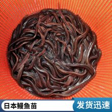 绶ӭ۷ˮ ձ ȫ