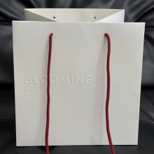 ���ƴ�ߴ�����ֽ�����������װ��������и�ҵ���������