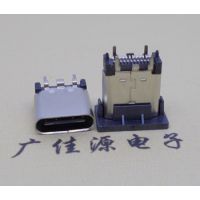 TYPE C3.1ӿ24P6.5MMа0.8PCBĸ