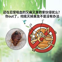 上海单位消灭蟑螂三分钟快速响应 除白蚁效果好驱跳蚤公司