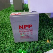 NPPNP2-4002V400AH EPSֱ UPSԴ 豸