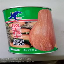 ձϹг Ϲ *** ҵ