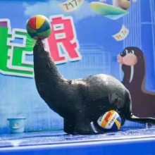 ͺչݺʨϵ绰