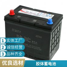 瓦尔塔电瓶6-QW-65(480) 12v6***h蓄电池 电动车汽车铅酸电瓶