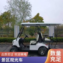户外运动新能源四轮代步车 运动型高尔夫球车 小型电动观光车