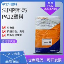 销售 可电镀PA12 2533 SN 01法国阿科玛 聚酰胺尼龙12 树脂传递成型