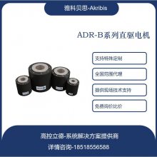 ADR110-B113-S-J-H9D-0.5-FB-AB-3005-SINCOS-P15-0RB ѯ
