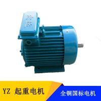 ľ˹YZ160L-6-11KW 611ǧߵ綯 ұ첽