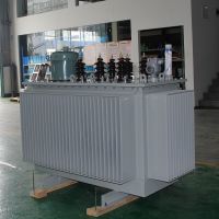 Ӧ SVR-5000KVA 8-10kv/ѹ10KV ·Զѹ