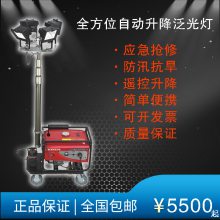 ʤȫλԶ4*500W4*1000W ӦѴƶ