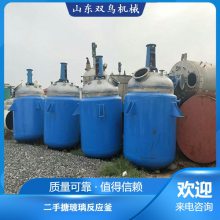 5吨搪瓷反应釜 二手搪瓷反应釜 自动加温 双鸟