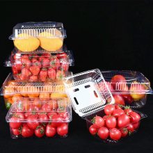 塑料水果盒 超市水果分装盒 500克装透明果蔬盒子