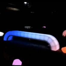 ⻥γֻ 