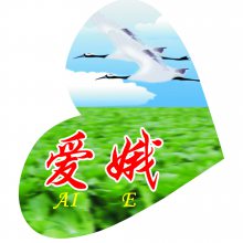 上海爱娥蔬菜种植专业合作社