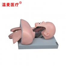 ҽ ҽѧģ ѵ ڱǻṹ Ȳģ