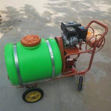 启航 拉管式喷雾器 自走式杀虫打药车参数