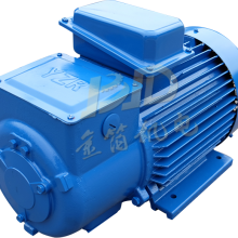 Ͼصܳ YZR160M2-4 11kW 첽 YZRӹ