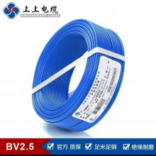 ϵ¼BV 2.5ƽͭоװò