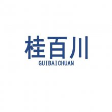 柳州桂百川电气有限公司