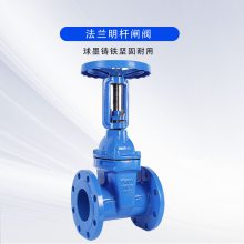 良工沪工法兰式软密封明杆闸阀Z41X-16Q25Q