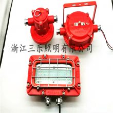矿用隔爆型LED支架灯 DGC36/127L 采掘面