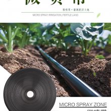 微喷带 大田灌溉 喷灌带 N100微喷带 主管带 雾化带 大棚专用