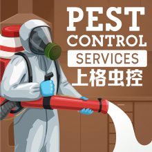 上海公司杀灭白蚁 单位除跳蚤 效果好的治理跳蚤