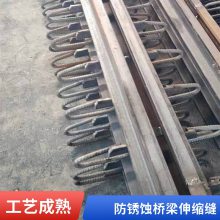 公路桥梁伸缩缝 E型C型F型Z型变形缝装置 来图定制