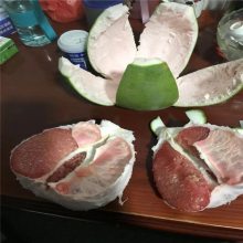 ʺ챦ʯ۸ ɱ۸