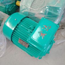 첽 ƵYZR 15KWȫͭ