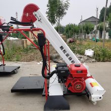 大豆装袋机 粮食装袋机工作视频