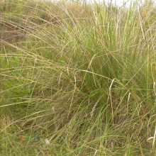 �������������Ż� �ļ�����ܸܸ�������̻���ѿ***�����������ٶȿ�