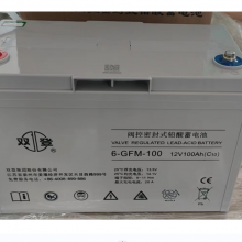 ˫ǷܷʽǦ6-GFM-100C10