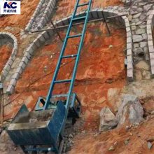 爬山虎建筑高速路护坡 建筑上料爬山虎